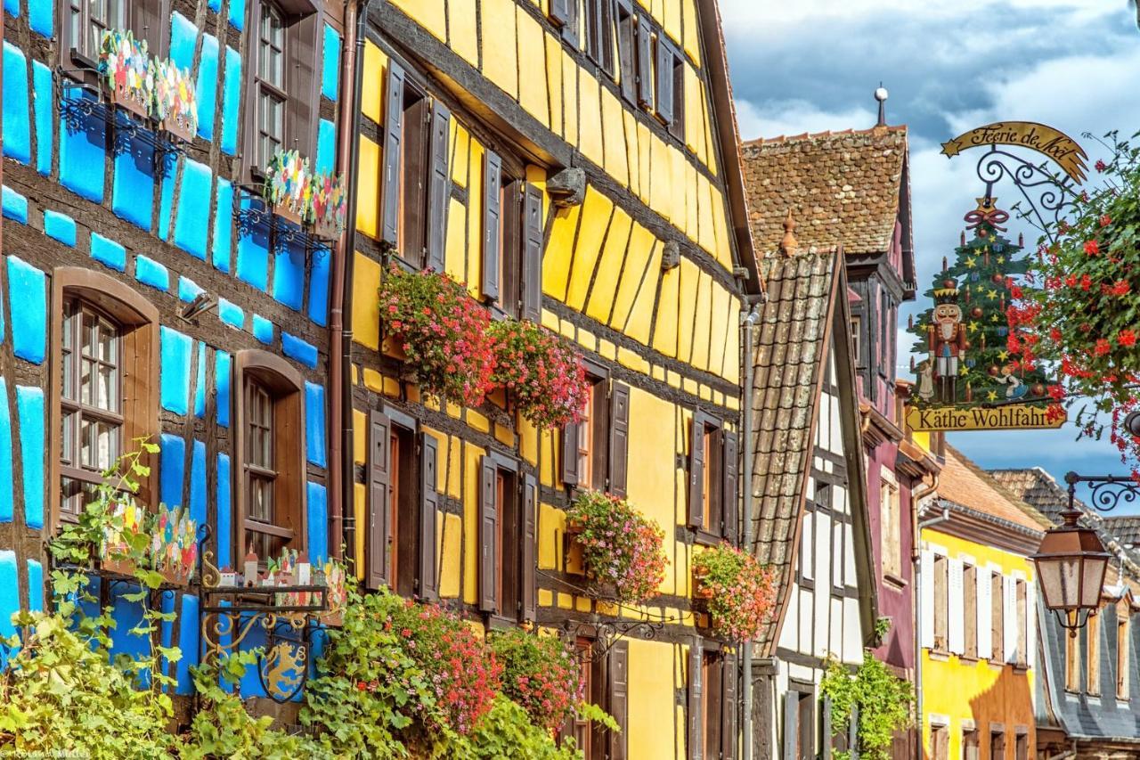 Magnifique Gite Le Clos Des Pierres Route Des Vins D'Alsace Бебленайм Екстер'єр фото